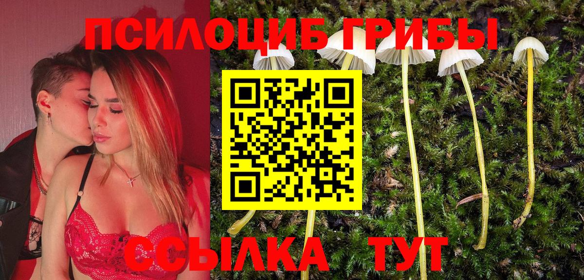 Псилоцибиновые грибы мухоморы  Вход с VPN  где продают   Вязники 