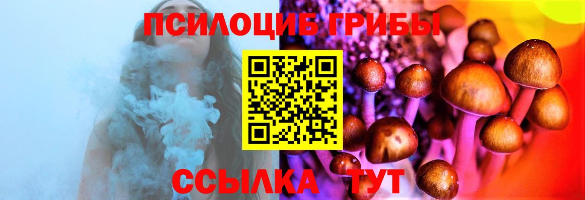 ГАШ Вязники
